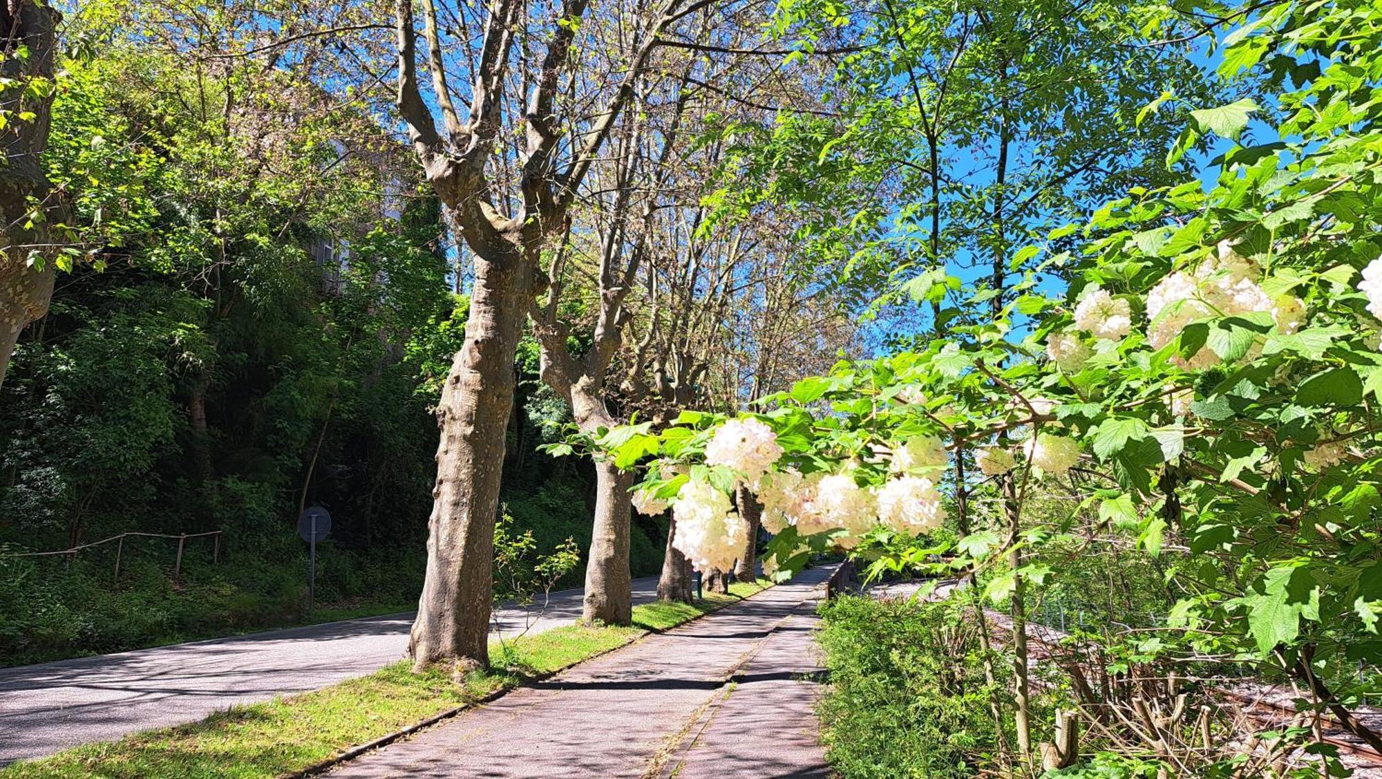 Du Doubs Au Doux Villa Lamastre Eksteriør billede